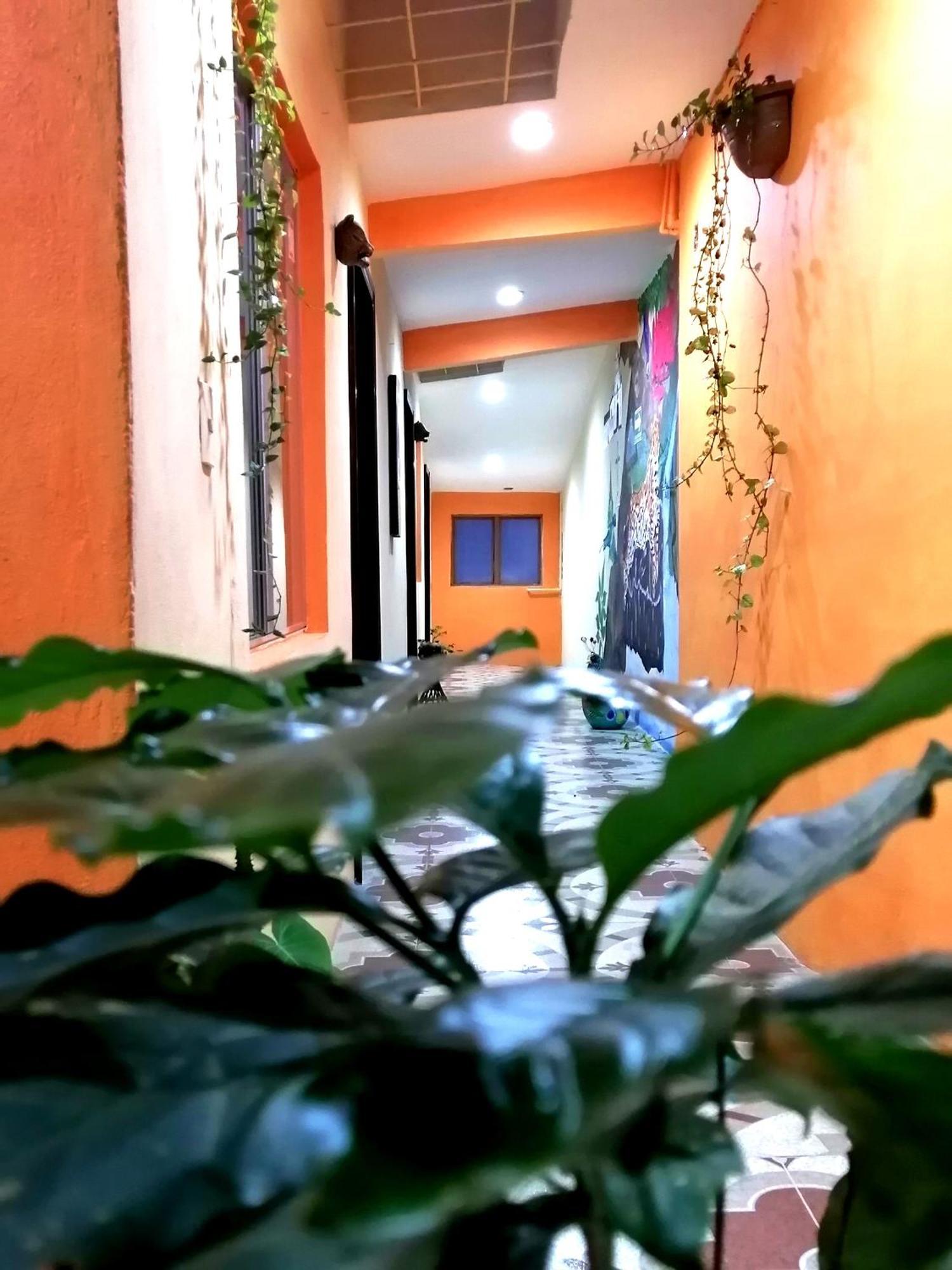 Hotel Amayal San Cristobal de las Casas Bagian luar foto