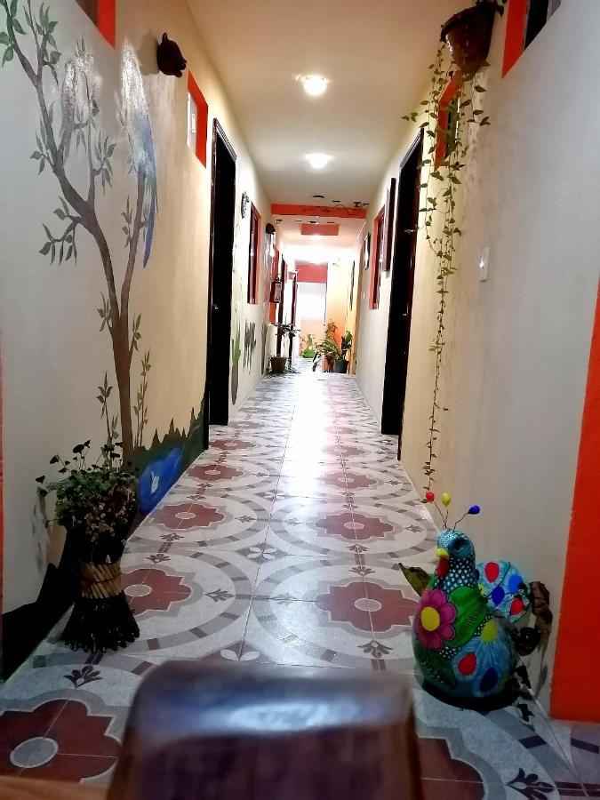 Hotel Amayal San Cristobal de las Casas Bagian luar foto