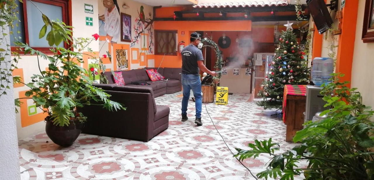 Hotel Amayal San Cristobal de las Casas Bagian luar foto