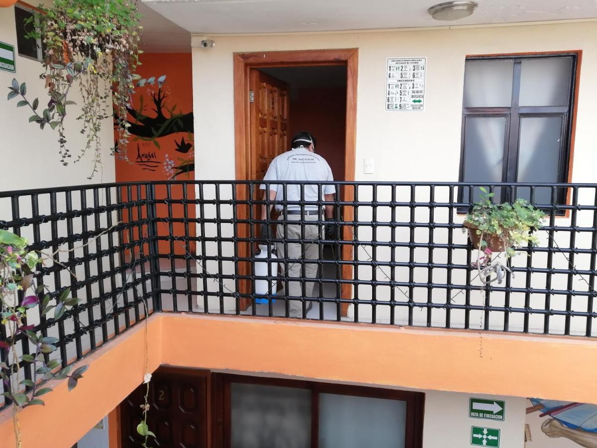 Hotel Amayal San Cristobal de las Casas Bagian luar foto