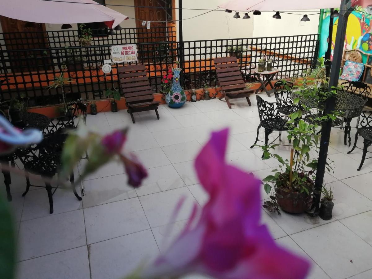 Hotel Amayal San Cristobal de las Casas Bagian luar foto